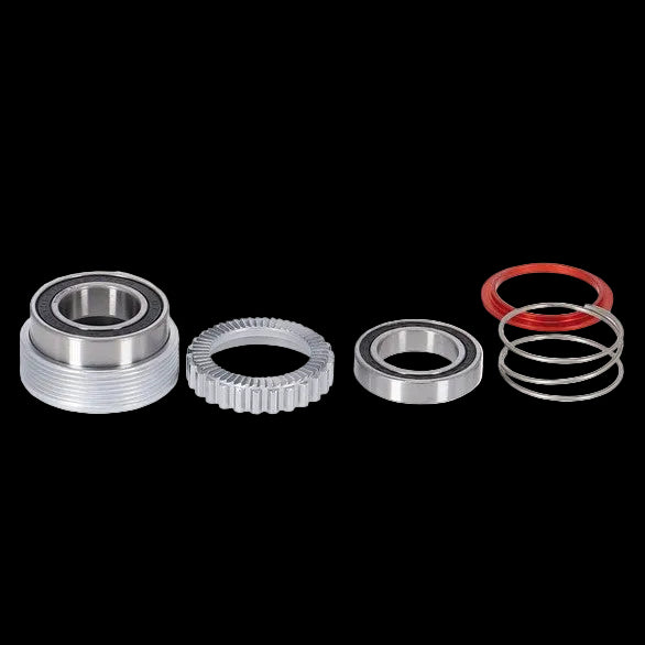Kit Ratchet EXP Dt Swiss 54T Crans/Dents – Superlight – Muscat Bikes