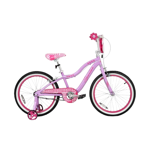 schwinn bicycle training wheels while the tool Schwinn 20 Inch Wheel Kids